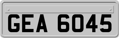 GEA6045