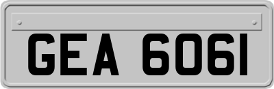 GEA6061