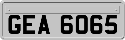 GEA6065