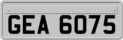 GEA6075