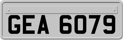 GEA6079