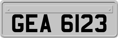 GEA6123