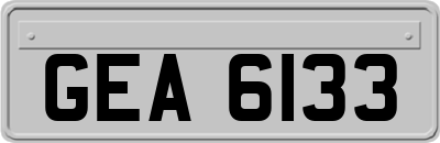 GEA6133