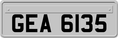 GEA6135