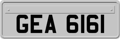GEA6161