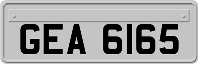 GEA6165