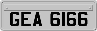 GEA6166