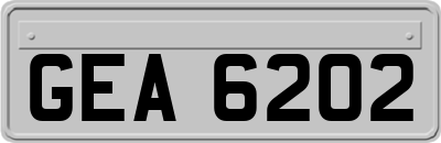 GEA6202