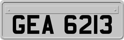 GEA6213