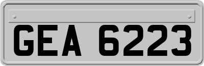 GEA6223