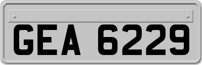 GEA6229