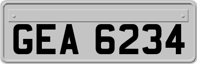 GEA6234