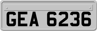GEA6236
