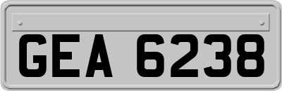 GEA6238