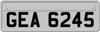 GEA6245