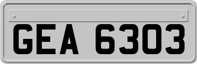 GEA6303