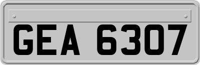 GEA6307