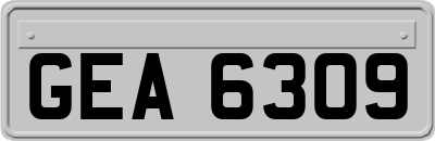 GEA6309