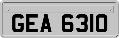 GEA6310