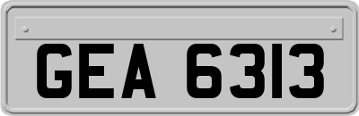 GEA6313