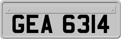 GEA6314