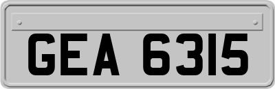 GEA6315
