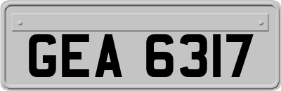 GEA6317