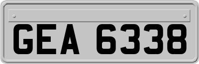 GEA6338