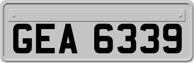 GEA6339