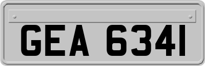 GEA6341