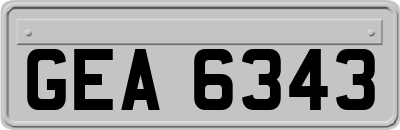 GEA6343