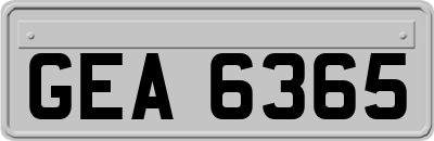GEA6365