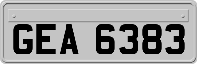 GEA6383