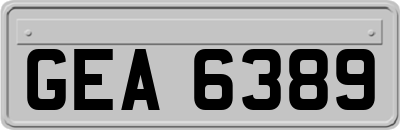 GEA6389