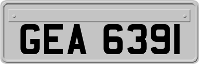 GEA6391