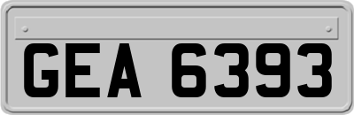 GEA6393