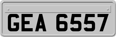GEA6557