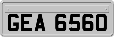 GEA6560