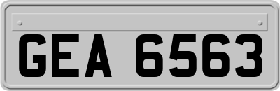 GEA6563