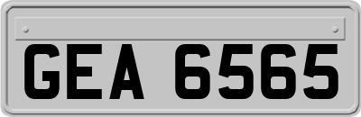 GEA6565