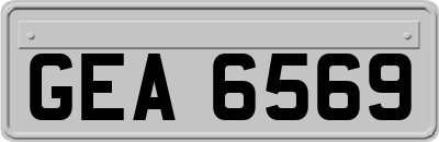 GEA6569