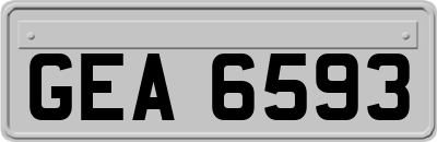 GEA6593