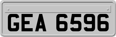 GEA6596
