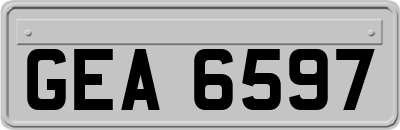 GEA6597