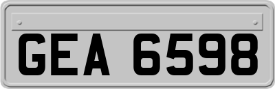 GEA6598