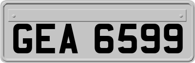GEA6599