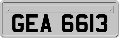 GEA6613