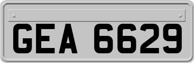 GEA6629