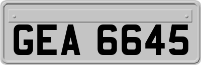 GEA6645