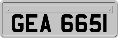 GEA6651